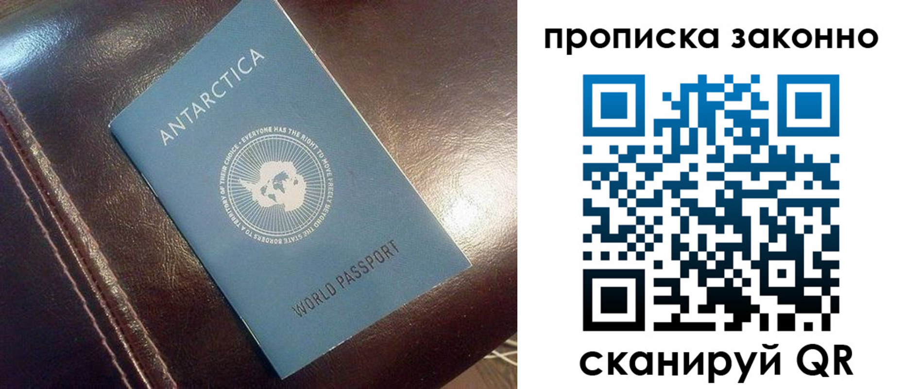 прописка в квартире в Кингисеппе