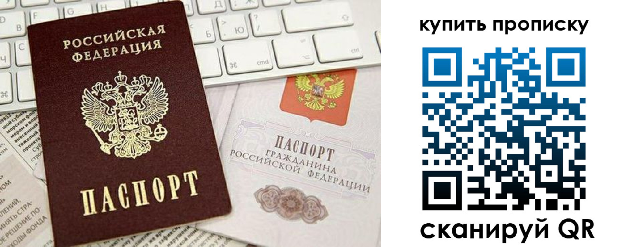 прописка гарантия в Кингисеппе